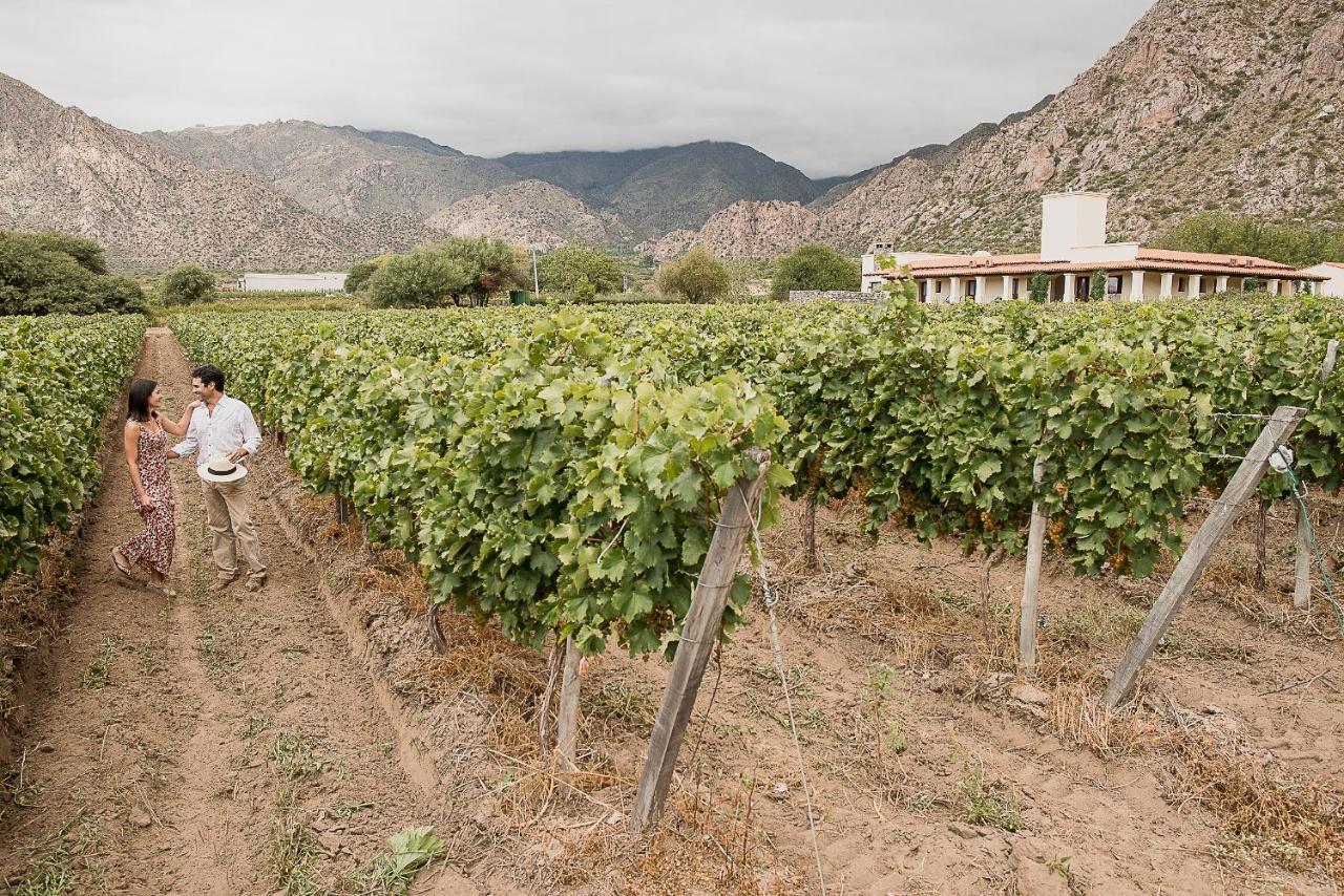 Vinas De Cafayate Wine Resort Exterior photo