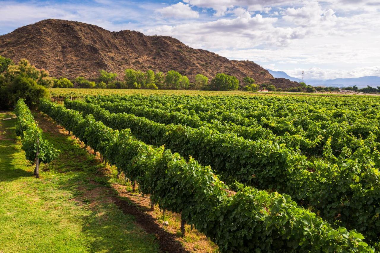 Vinas De Cafayate Wine Resort Exterior photo